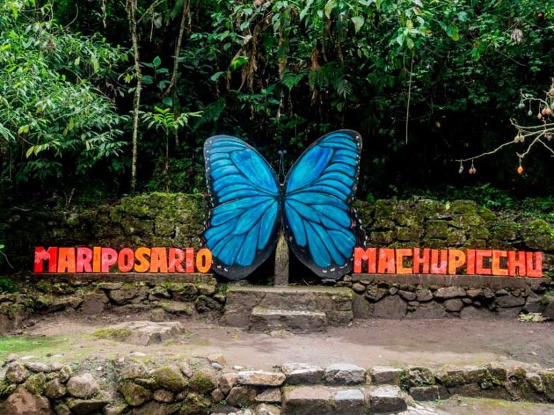 Machu Picchu: la maravilla andina que conecta pasado y presente